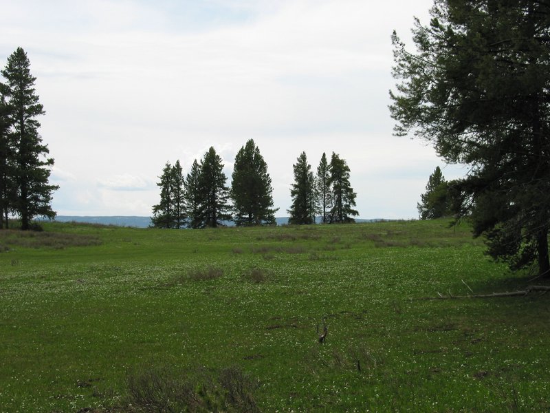 110-1064_IMG.JPG