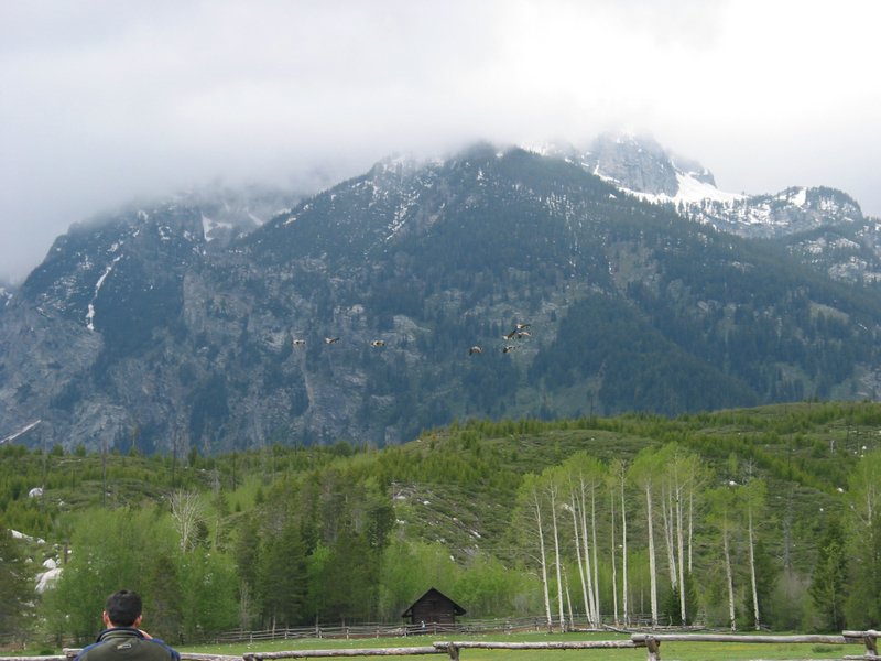 111-1145_IMG.JPG