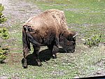 107-0787_IMG.JPG