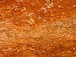 108-0853_IMG.JPG