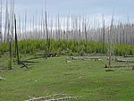 108-0865_IMG.JPG
