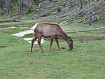 108-0872_IMG.JPG