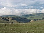 108-0893_IMG.JPG