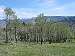109-0933_IMG.JPG
