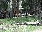 109-0935_IMG.JPG