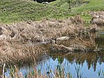 109-0946_IMG.JPG