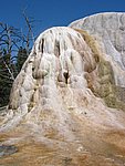 109-0960_IMG.JPG