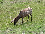 110-1058_IMG.JPG