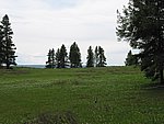110-1064_IMG.JPG