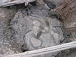 110-1077_IMG.JPG