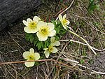110-1079_IMG.JPG
