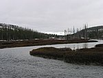 111-1107_IMG.JPG