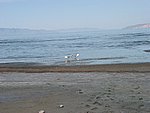 112-1280_IMG.JPG
