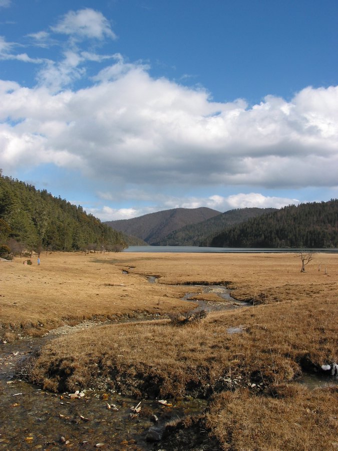 yunnanb 023.jpg