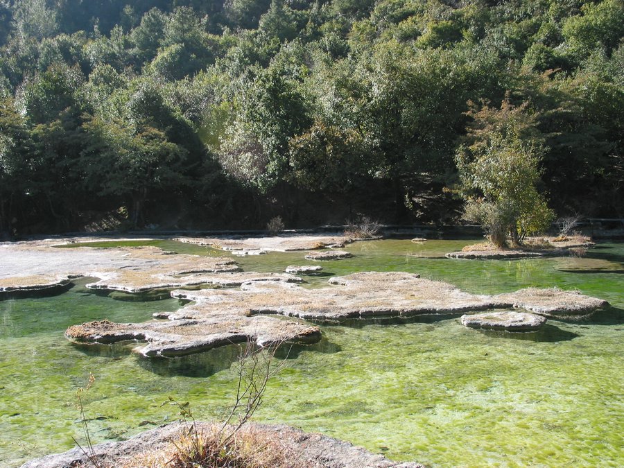 yunnanb 164.jpg