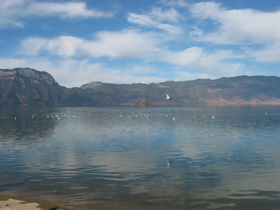 yunnanc 164.jpg