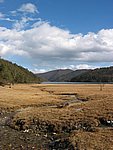 yunnanb 023.jpg