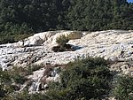 yunnanb 137.jpg