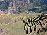 yunnanc 006.jpg