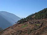 yunnanc 080.jpg