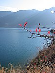 yunnand 049.jpg