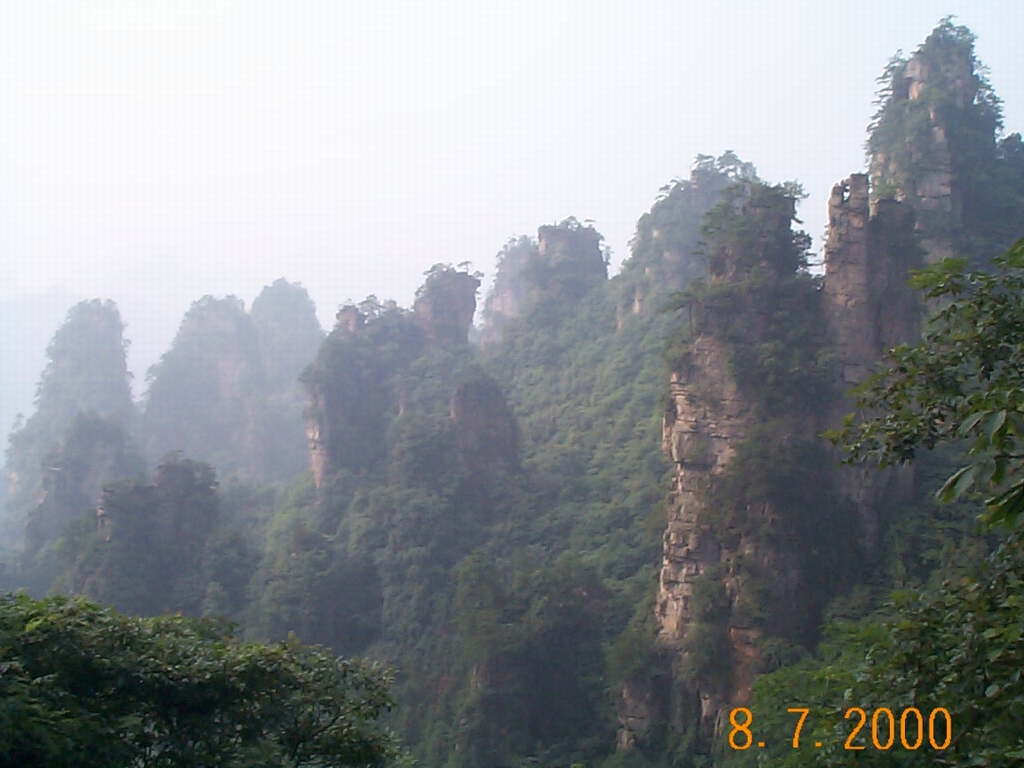 _CP00074.JPG