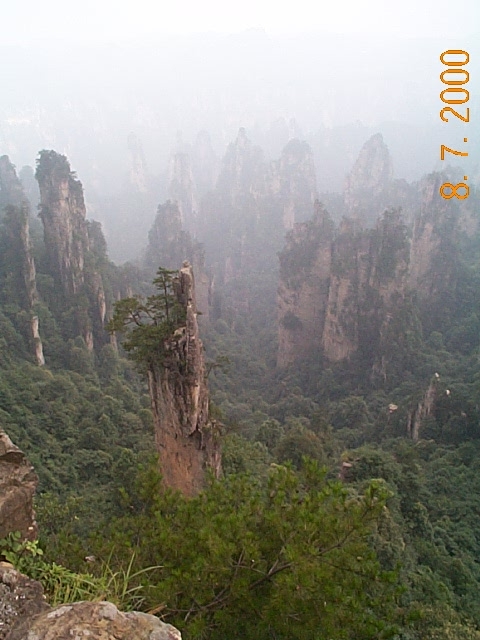 _CP00079.JPG
