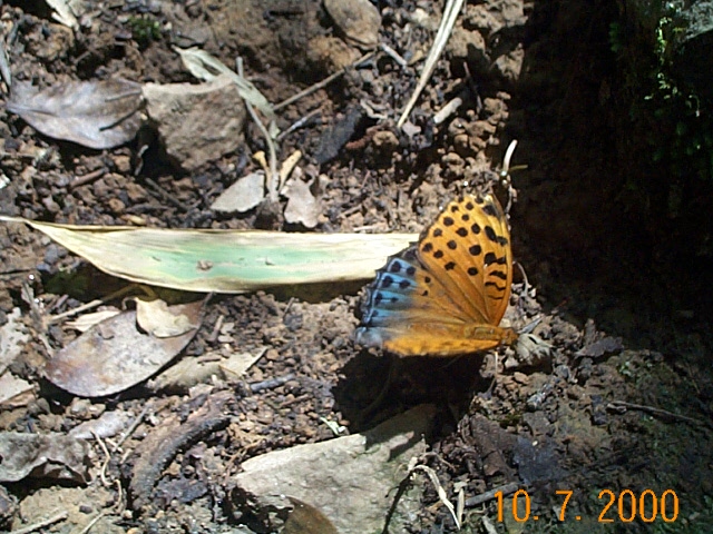 _CP00142.JPG