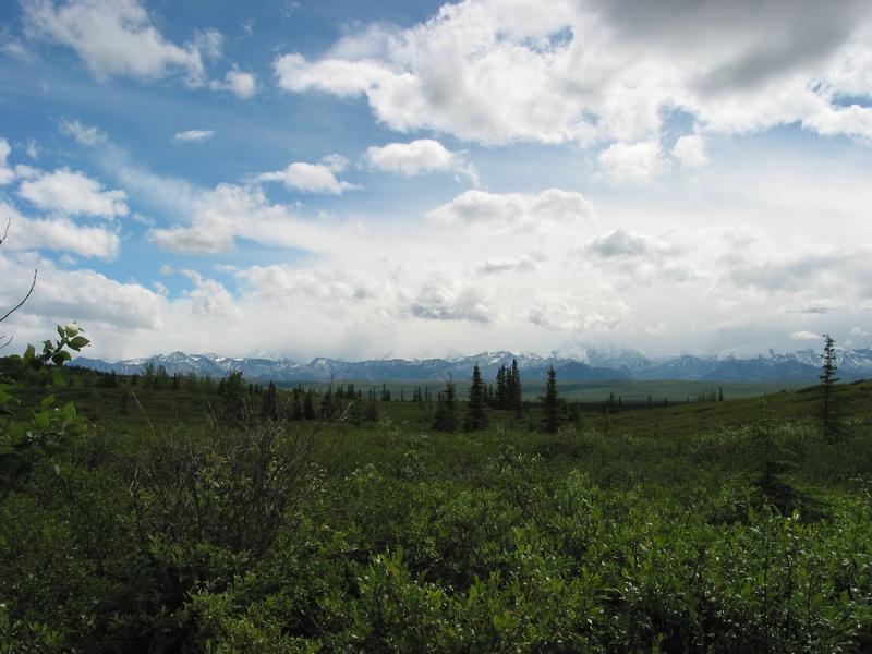 Mckinley bar trail.JPG