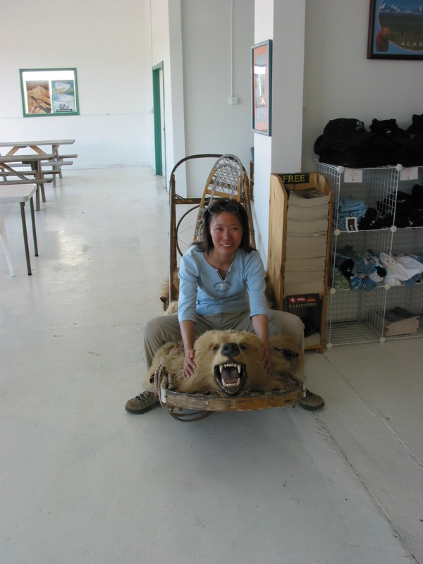 bear sled.JPG