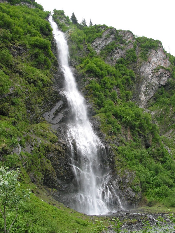 bride's veil.JPG