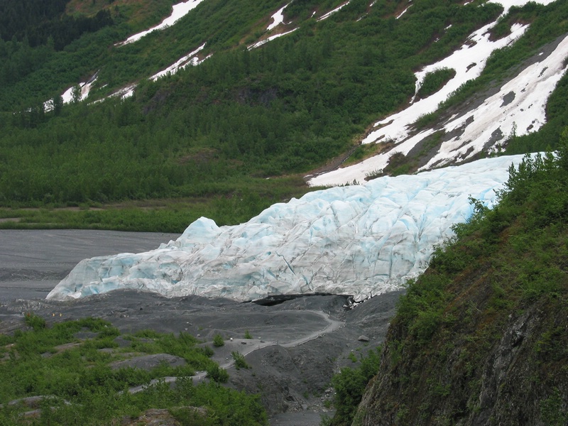 exit glacier 1.JPG