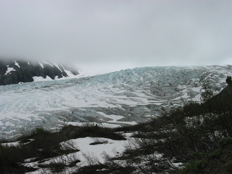 exit glacier 2.JPG