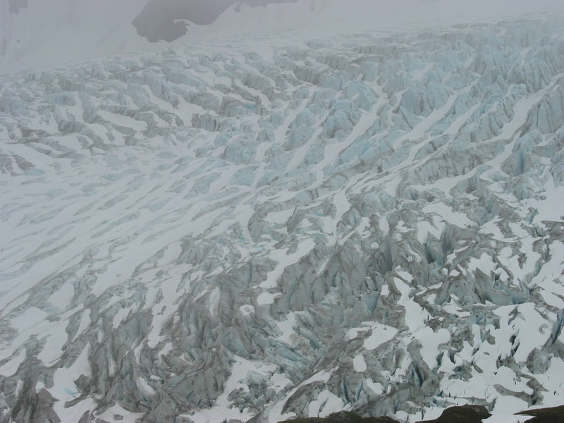 exit glacier 3.JPG