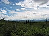 Mckinley bar trail.JPG