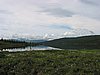 Mt. Mckinley 3.JPG