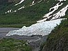 exit glacier 1.JPG