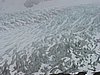 exit glacier 3.JPG