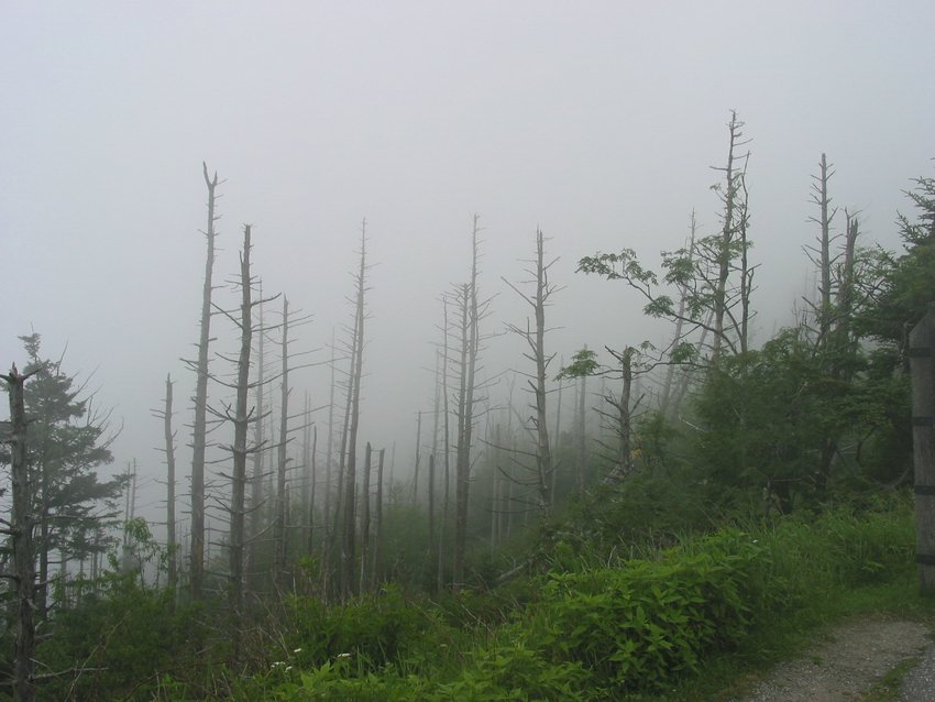 113-1367_IMG.JPG