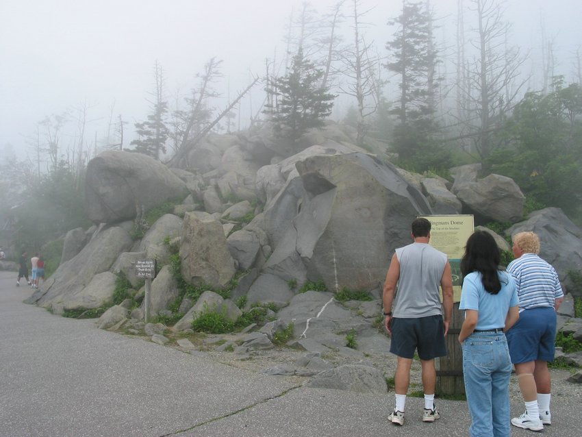 113-1368_IMG.JPG
