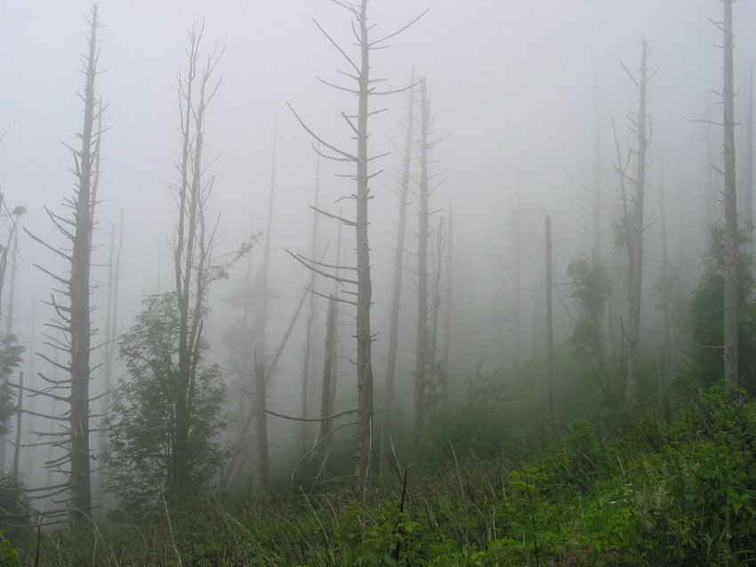113-1370_IMG.JPG