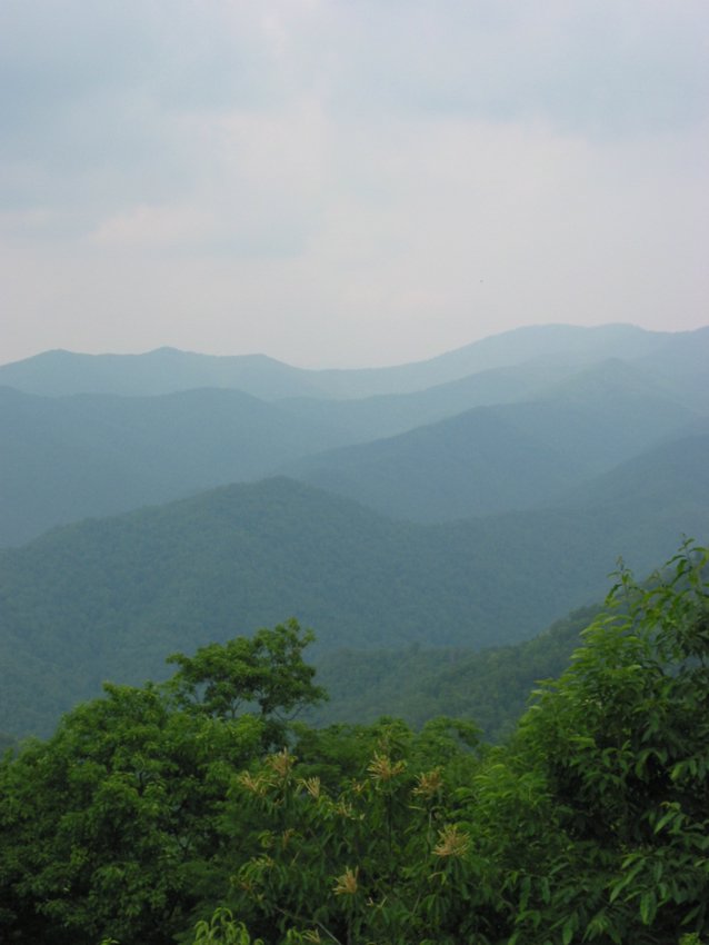 113-1386_IMG.JPG