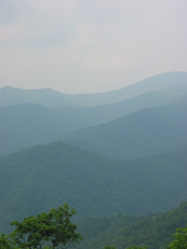 113-1387_IMG.JPG