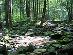 112-1291_IMG.JPG