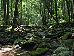 112-1297_IMG.JPG