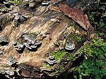 113-1303_IMG.JPG