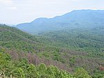 113-1329_IMG.JPG
