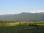 113-1338_IMG.JPG