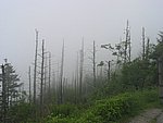 113-1367_IMG.JPG
