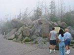 113-1368_IMG.JPG